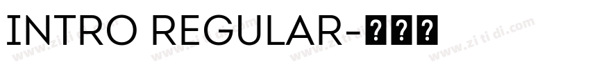 INTRO REGULAR字体转换